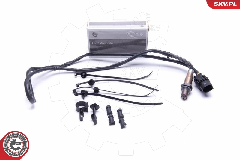 Oxygen Sensor